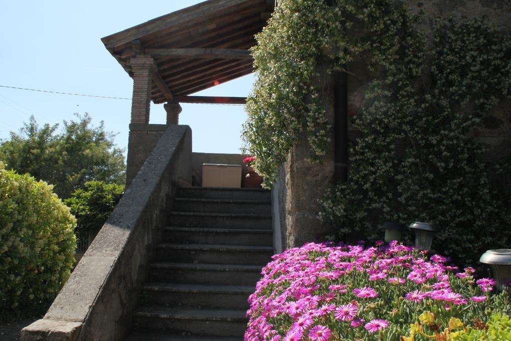 Casale Aurora Vila Viterbo Quarto foto